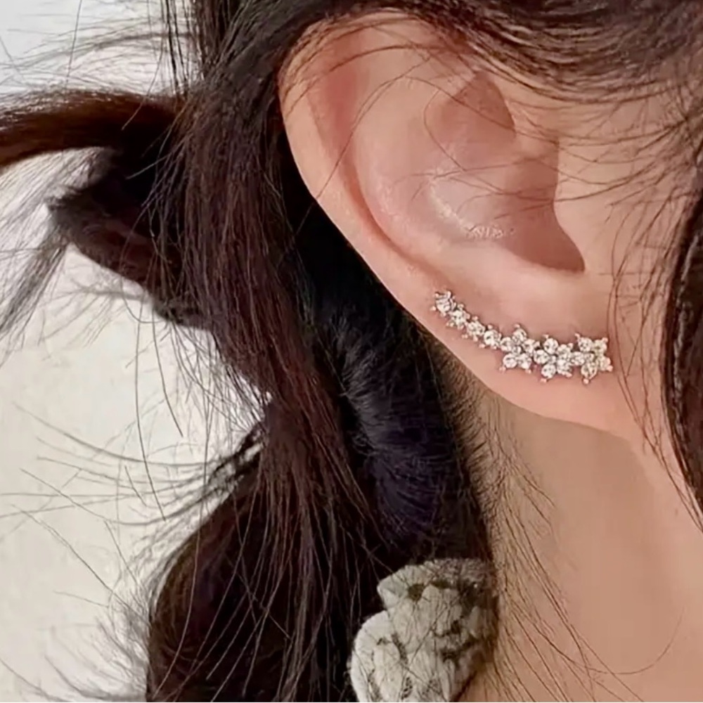 Dazzling Silver Starburst Earrings